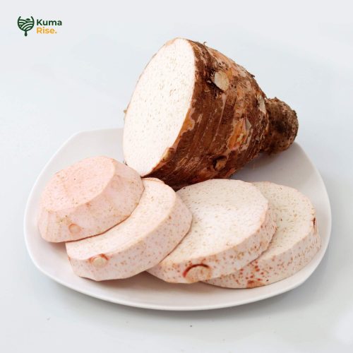 Talas Bogor Fresh Kupas Original