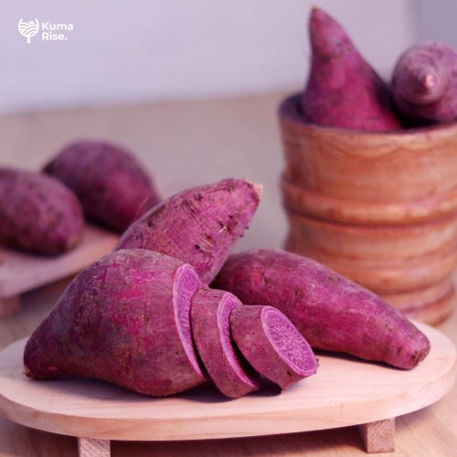 Ubi Ungu