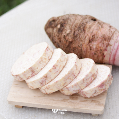 Talas Bogor Ketan Ungu Fresh Kupas